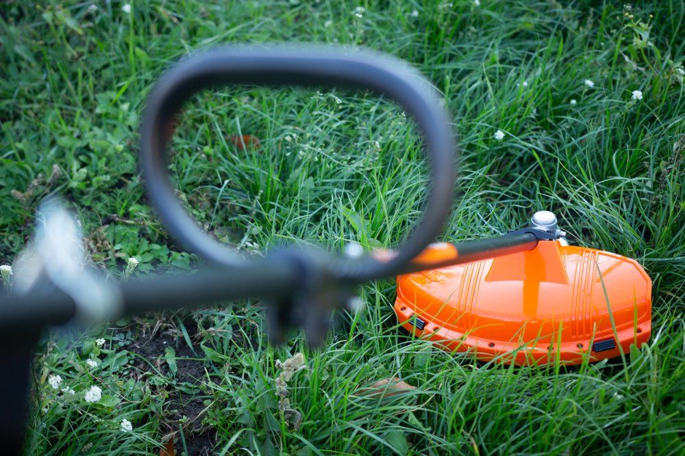 Top View of Trimmer in Action in Grass — Wellington Mowers & Chainsaws in Wellington, NSW