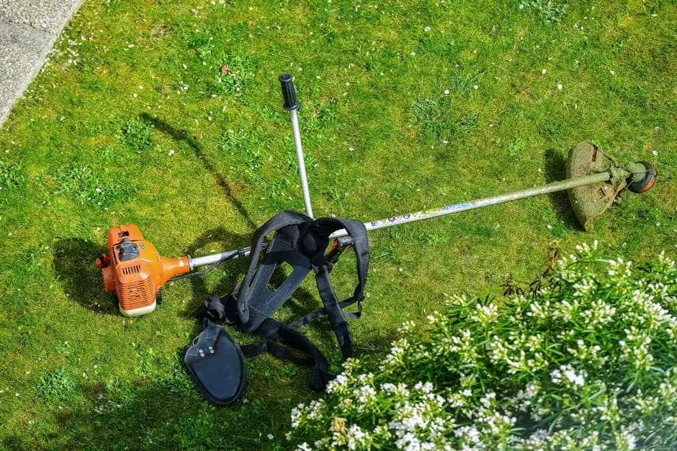 Corded String Trimmer in a Park — Wellington Mowers & Chainsaws in Wellington, NSW