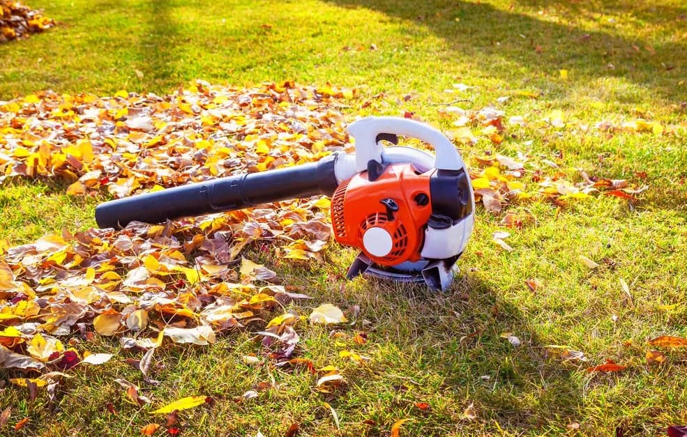 Scattered Dry Leaves on the Lawn and a Leaf Blower — Wellington Mowers & Chainsaws in Wellington, NSW