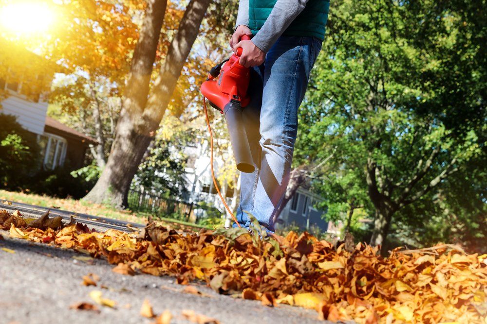 Man Working with a Leaf Blower — Wellington Mowers & Chainsaws in Wellington, NSW