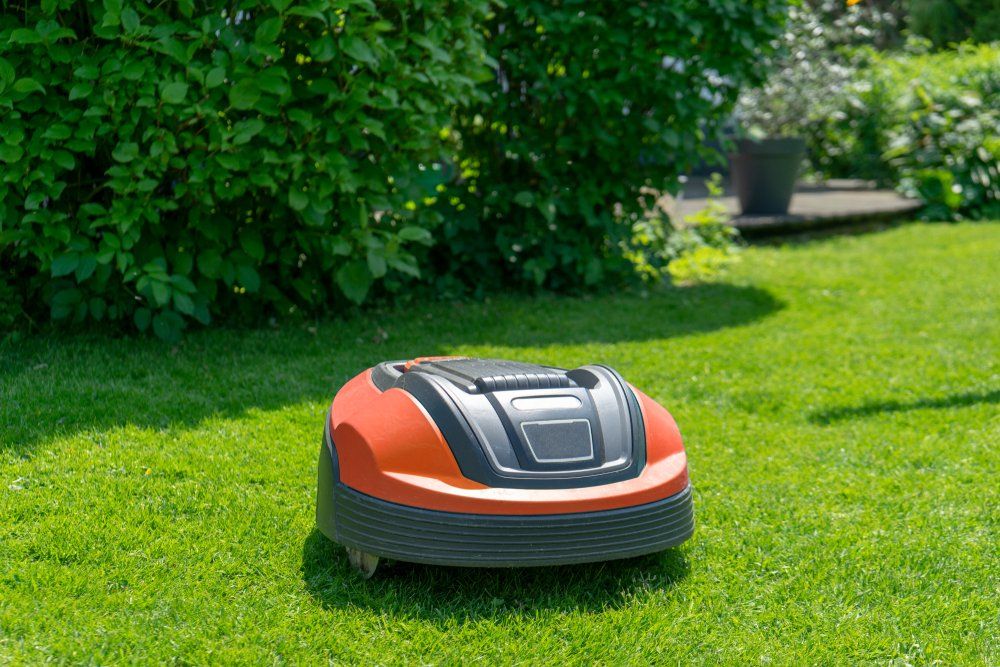 Robotic Lawn Mower on Grass — Wellington Mowers & Chainsaws in Wellington, NSW