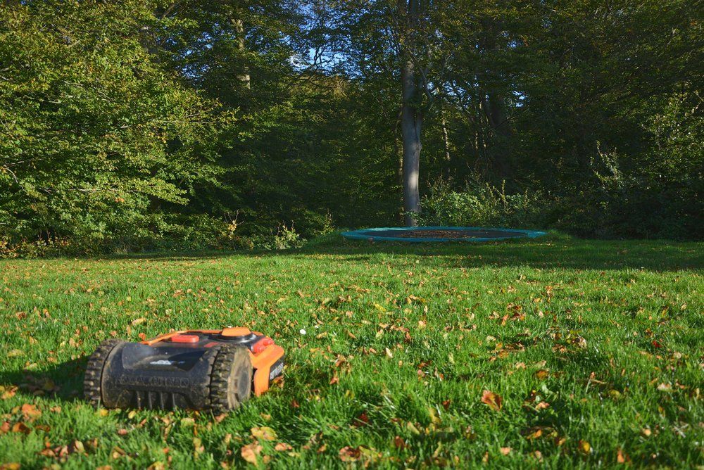 Electric Robot Lawn Mower Cutting Grass in Autumn — Wellington Mowers & Chainsaws in Wellington, NSW