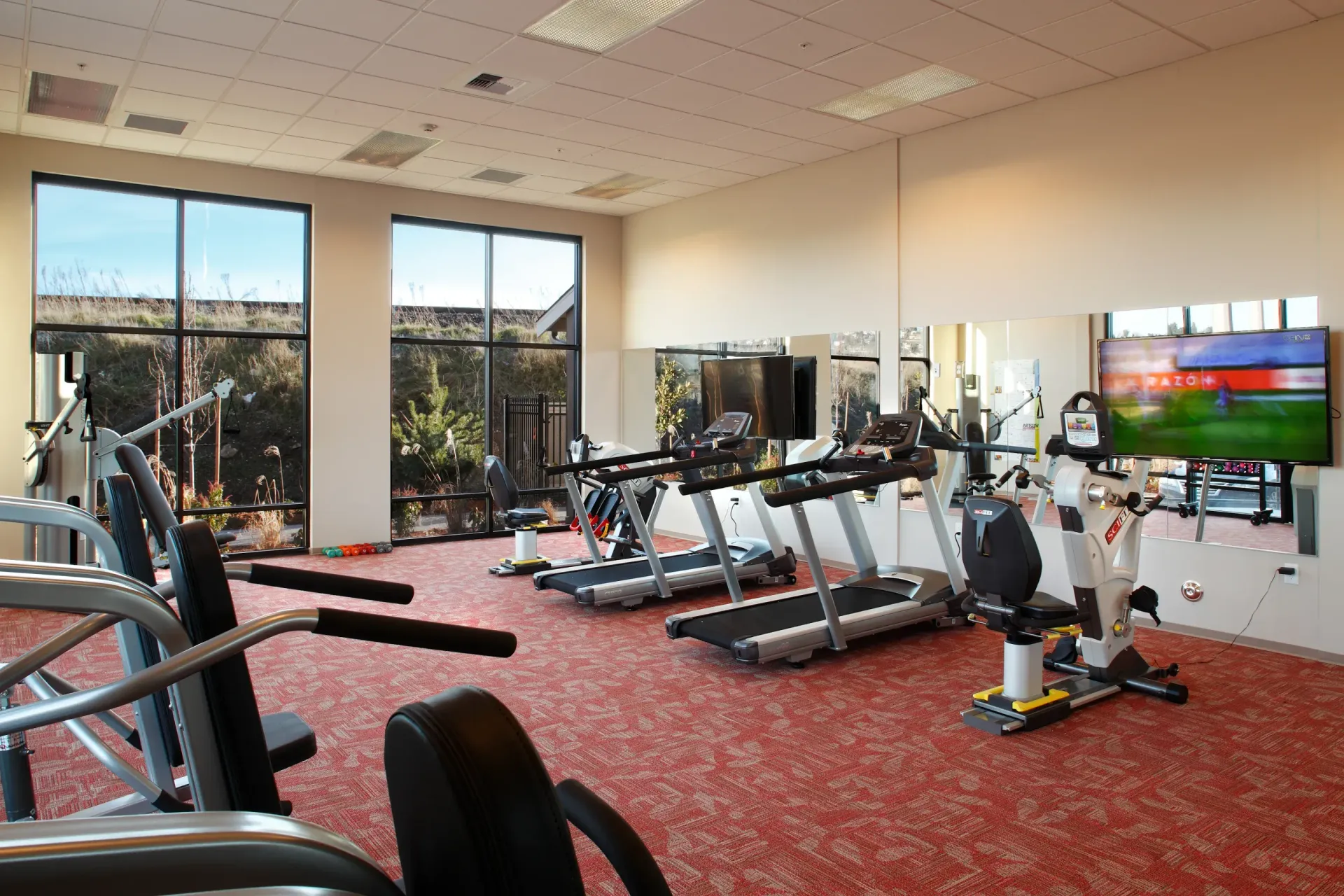 Fitness center interior with treadmills, bikes, and large windows.
