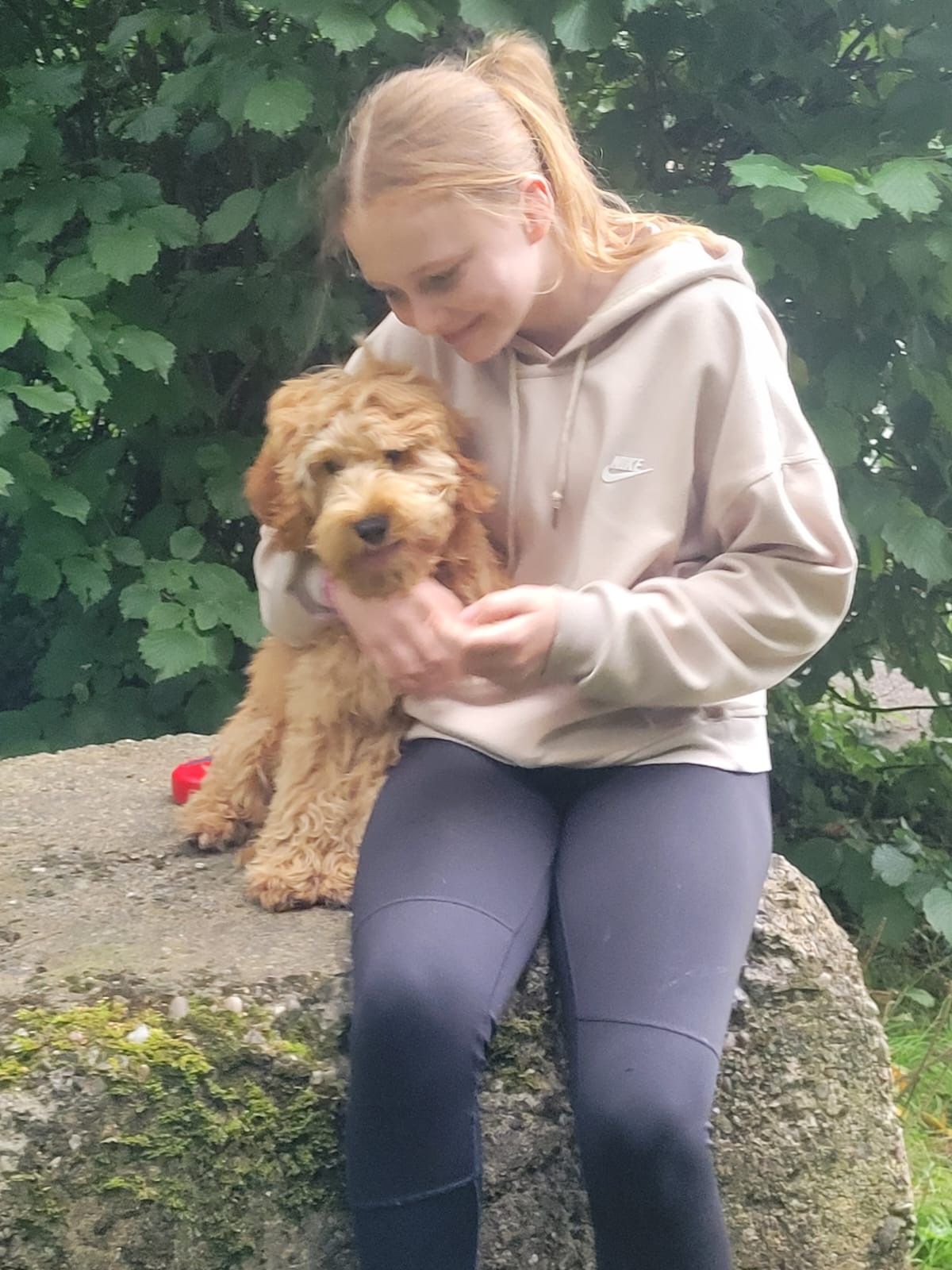 A young girl in a beige hoodie cuddles a golden doodle puppy, sitting on a large rock outdoors.