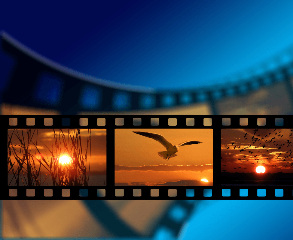 Film Production Insurance in New Mexico (Cost & Coverage) Elemental