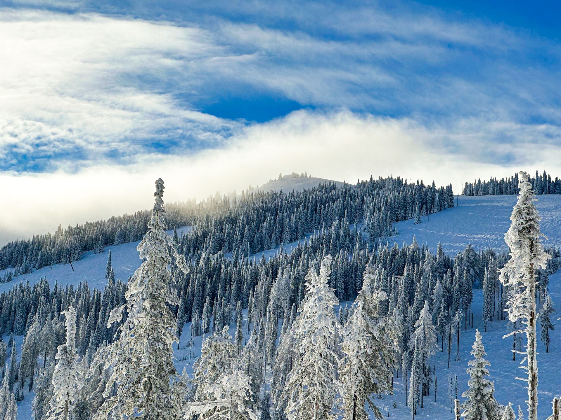 An advertisement for a job fair in november