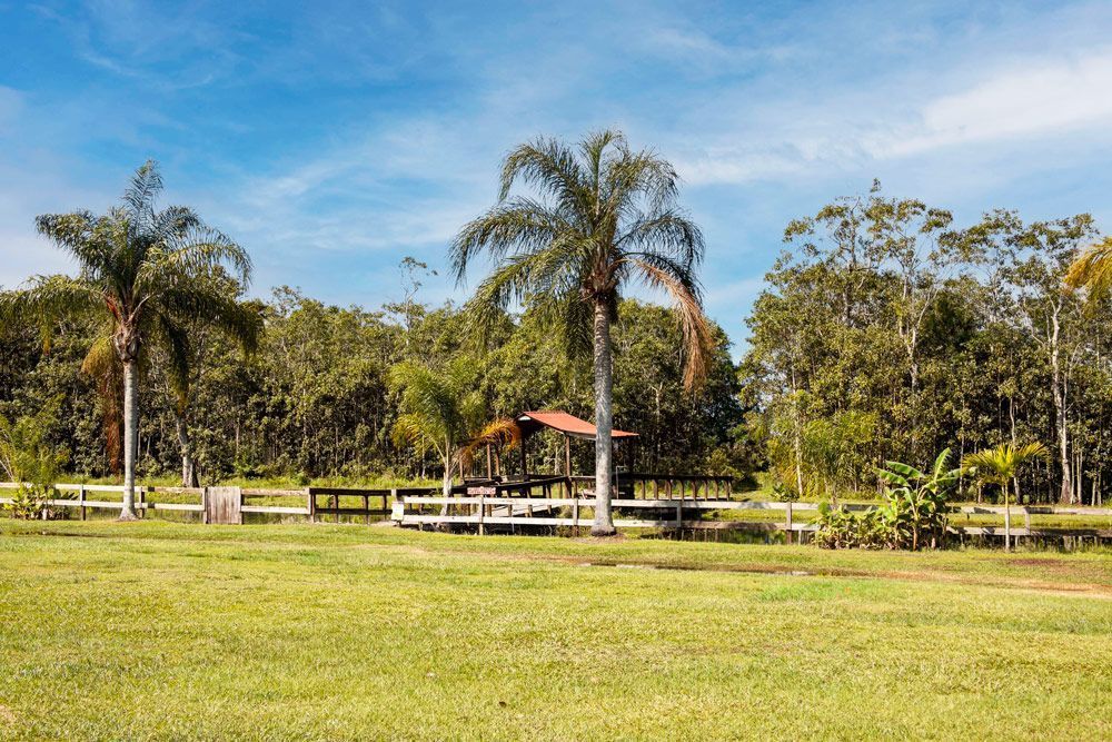 Green field with palm trees, gazebo, and surrounding trees under a blue sky.