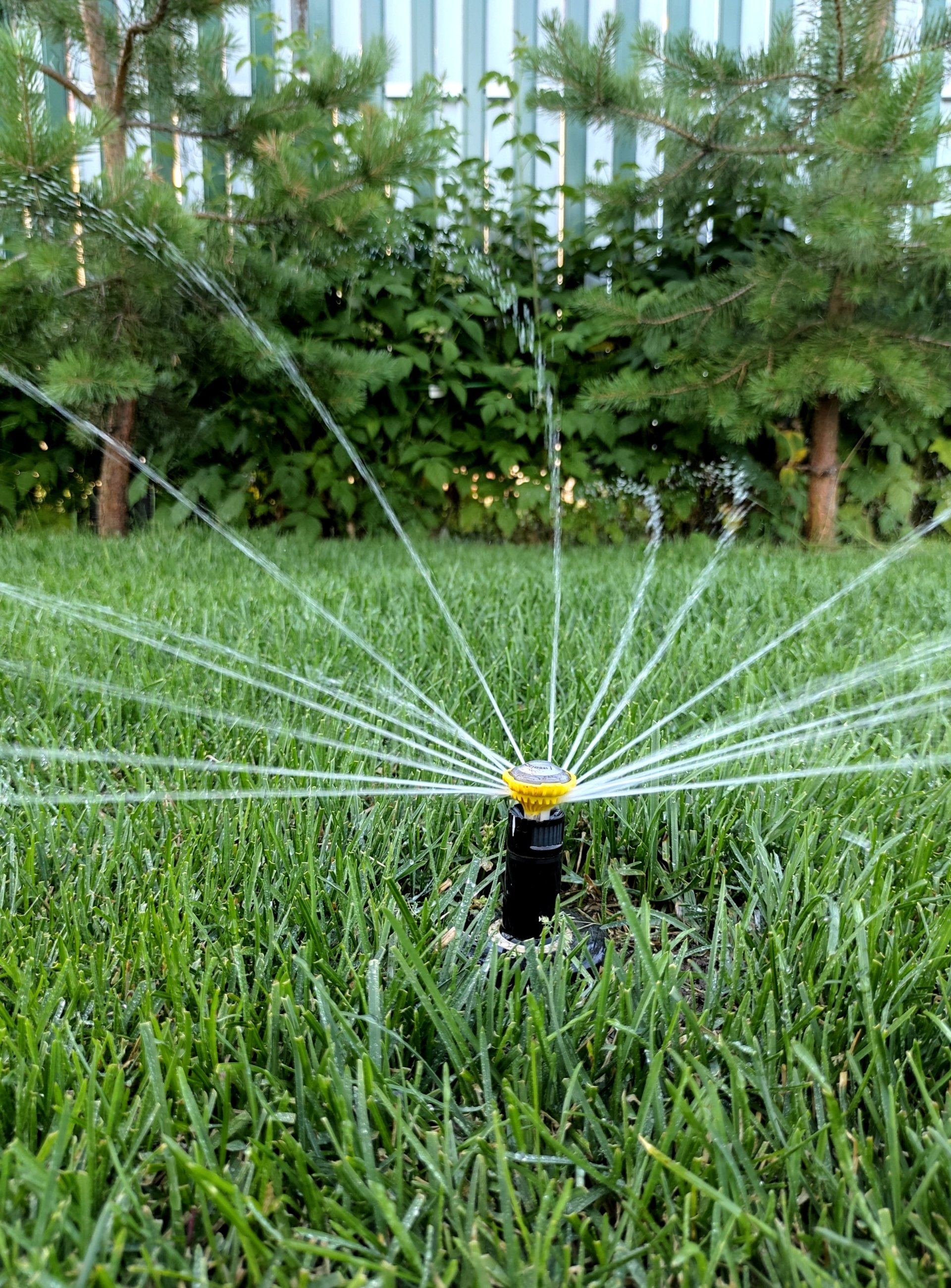 lawn water sprinkler