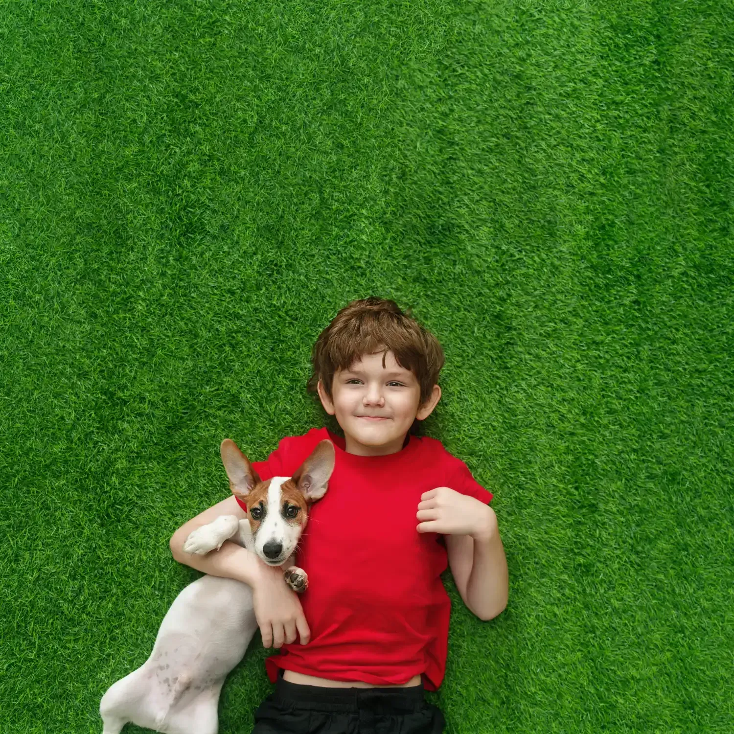 Boy in red shirt lies on green grass, hugging a white and brown dog; both smile.
