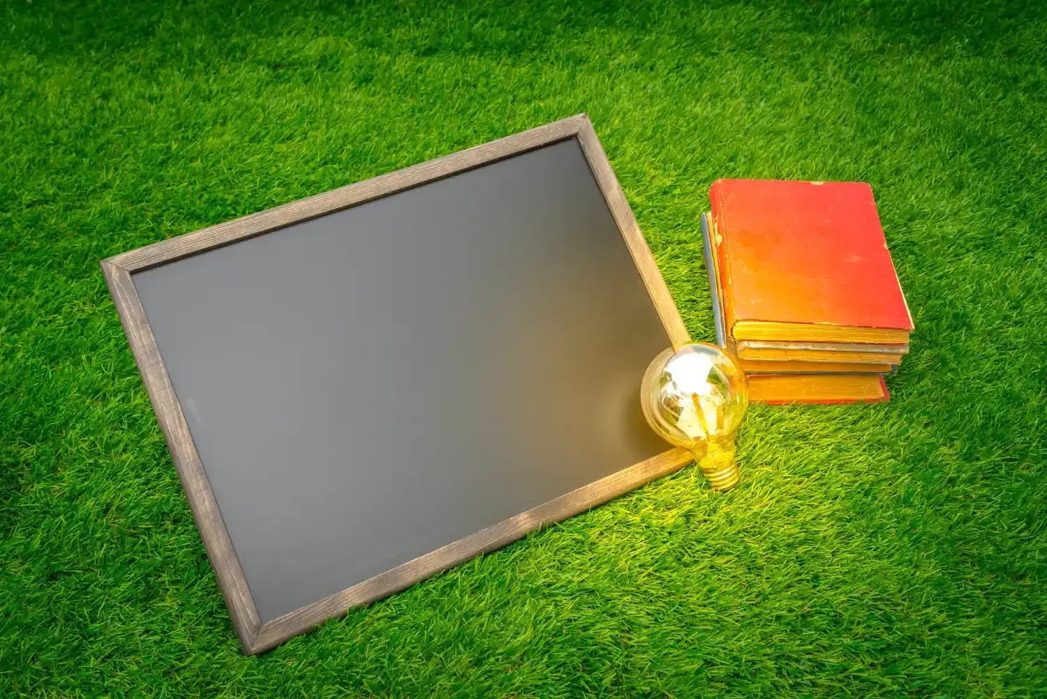 Blackboard, lightbulb, and books on green grass.
