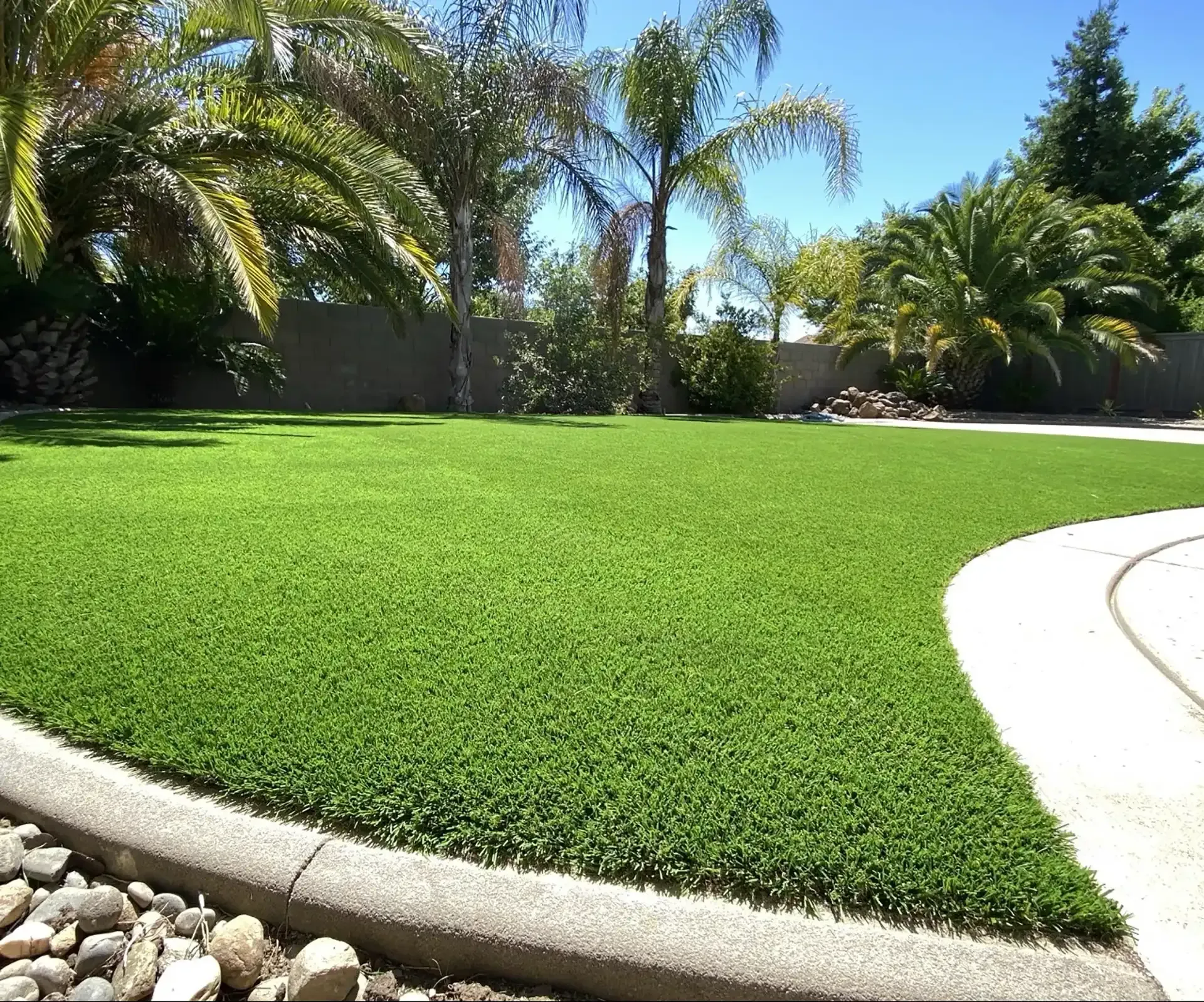 Green artificial lawn with palm trees in the background, bordered by a concrete curb and rocks.