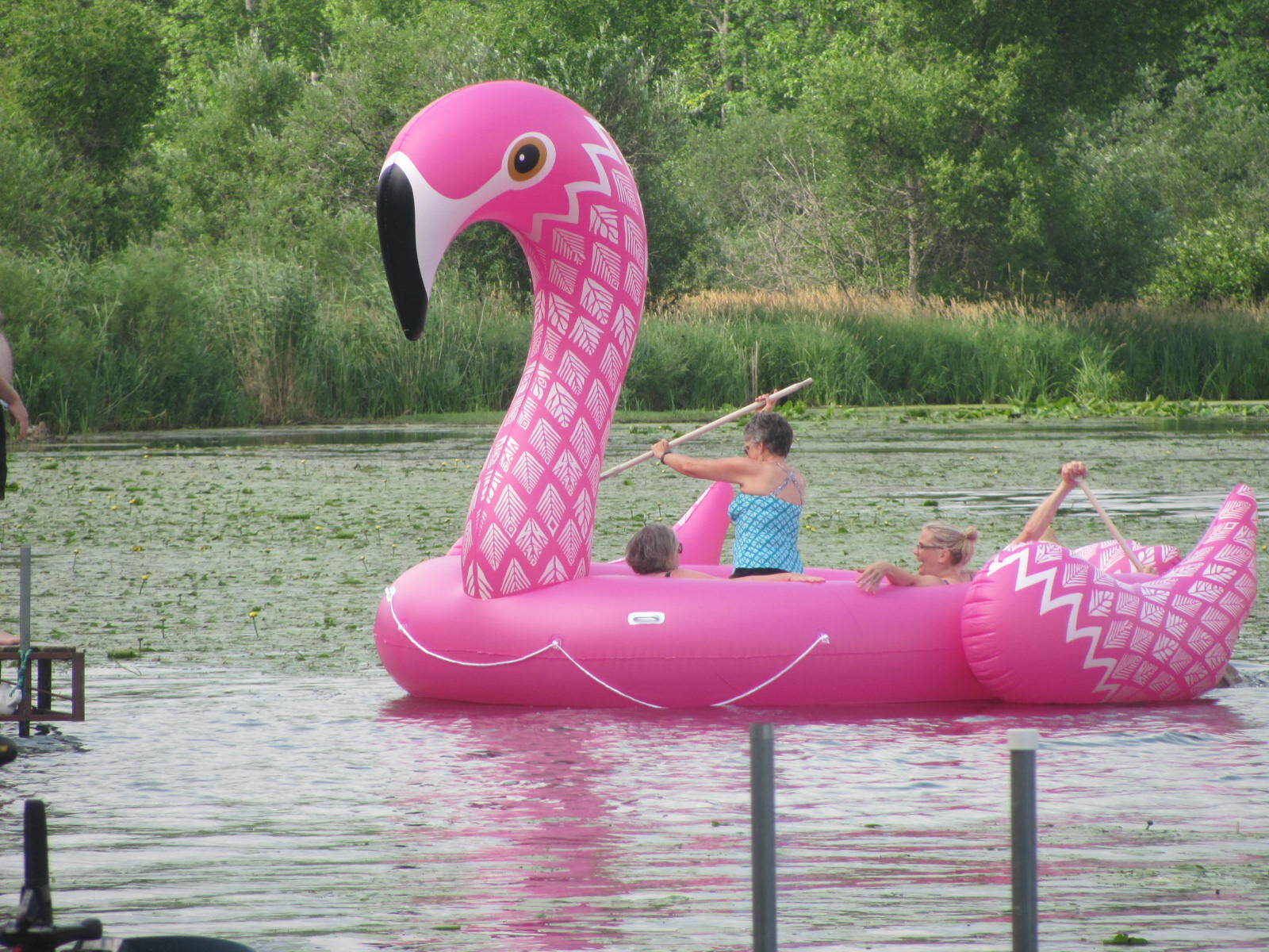 kids-on-giant-flamingo-raft