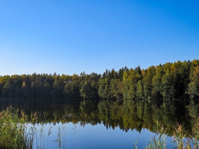 Quick Guide to Chippewa National Forest Rising Eagle Resort