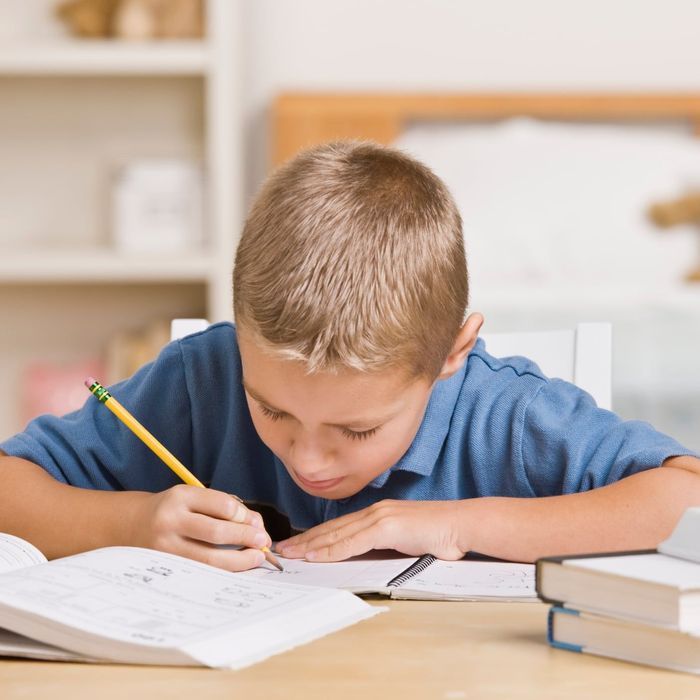 The Boy Doing his Homework - Lillington, NC -  Kids  Zone Academy Inc