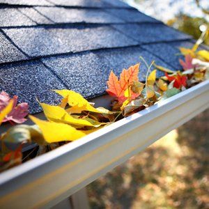 Rain gutter full of autumn leaves