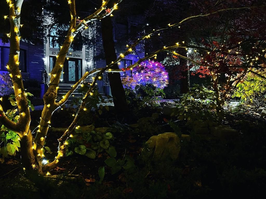 A house with christmas lights on the trees in front of it