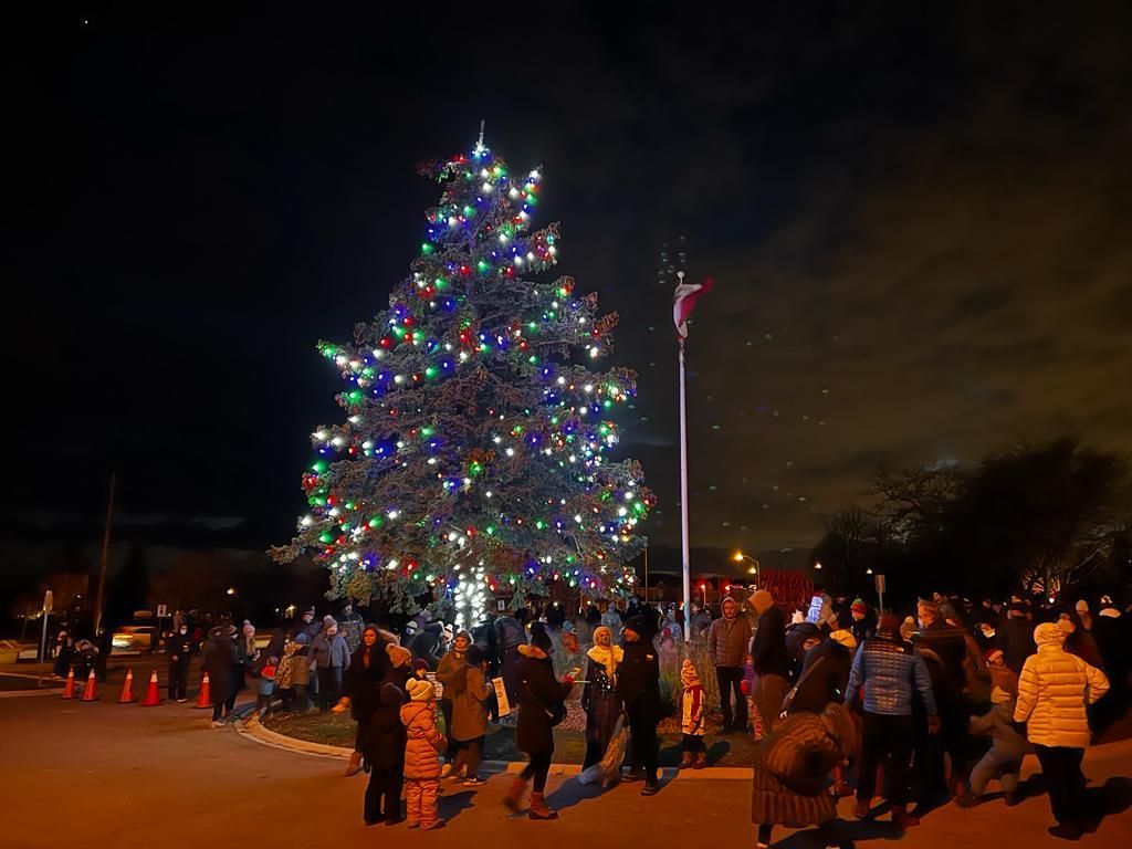 A group of people are standing around a christmas tree at night.