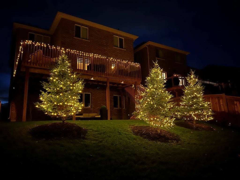 Two christmas trees are lit up in front of a house at night.