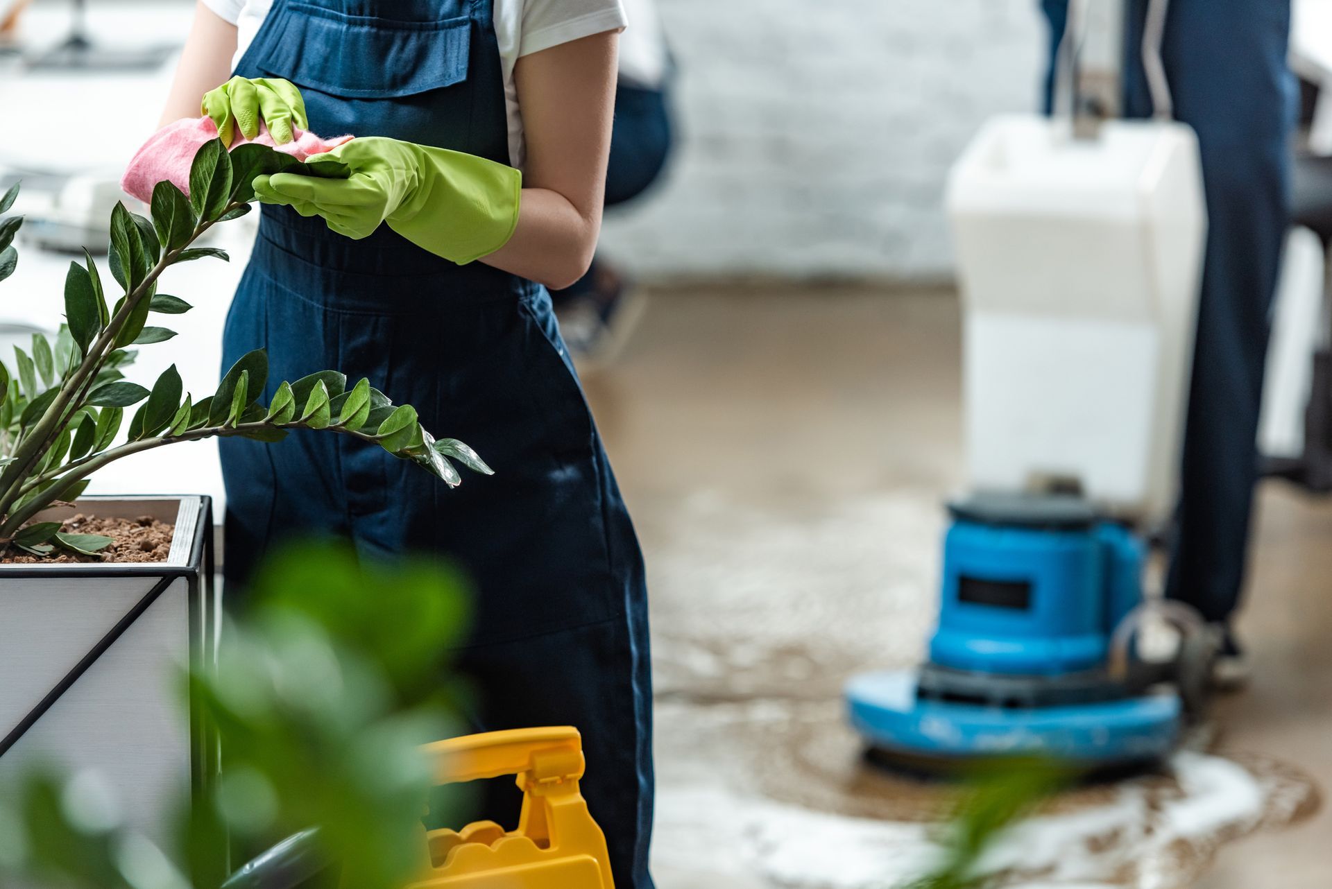 Cleaning Service in Basalt, CO