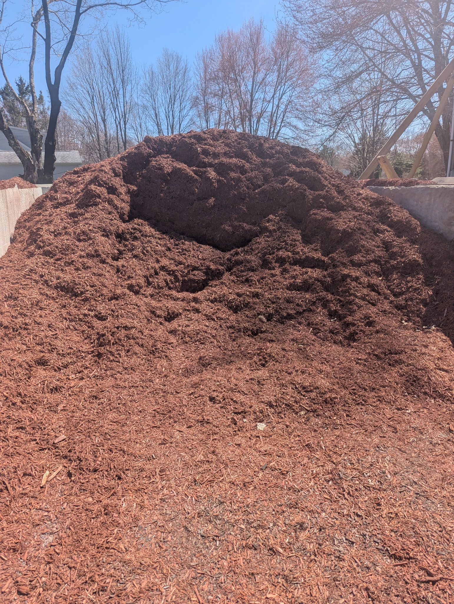 A large, conical pile of dark reddish-brown mulch sits under a bright blue sky with trees in the background.