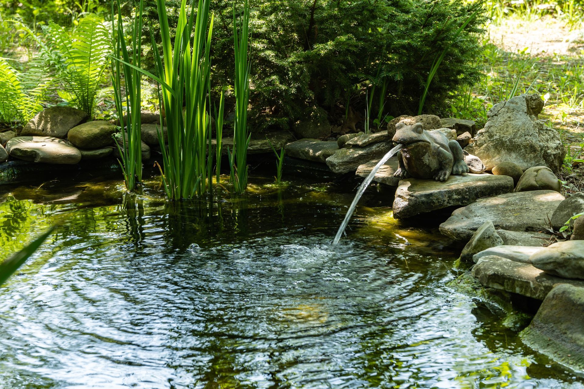 A stone frog fountain spouts water into a peaceful garden pond surrounded by rocks and lush green plants.