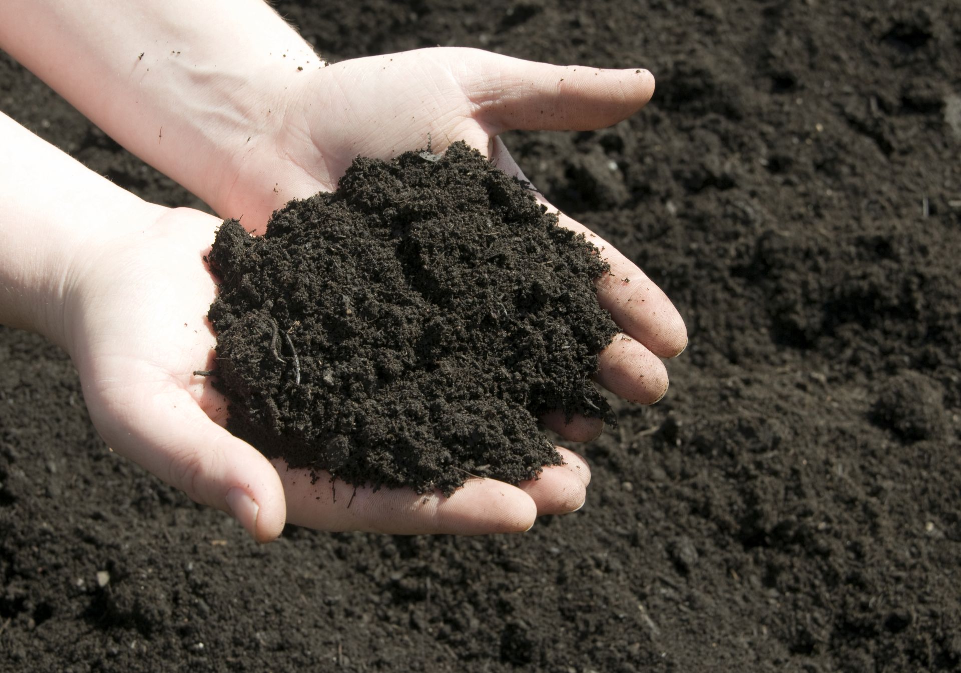 Cupped hands hold a generous portion of dark, rich potting soil over a larger mound of the same earth.