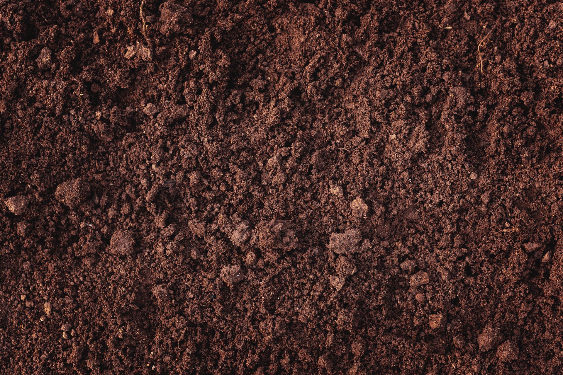 A close-up, top-down view of dark brown, loose, granular soil with small clumps and varied textures.
