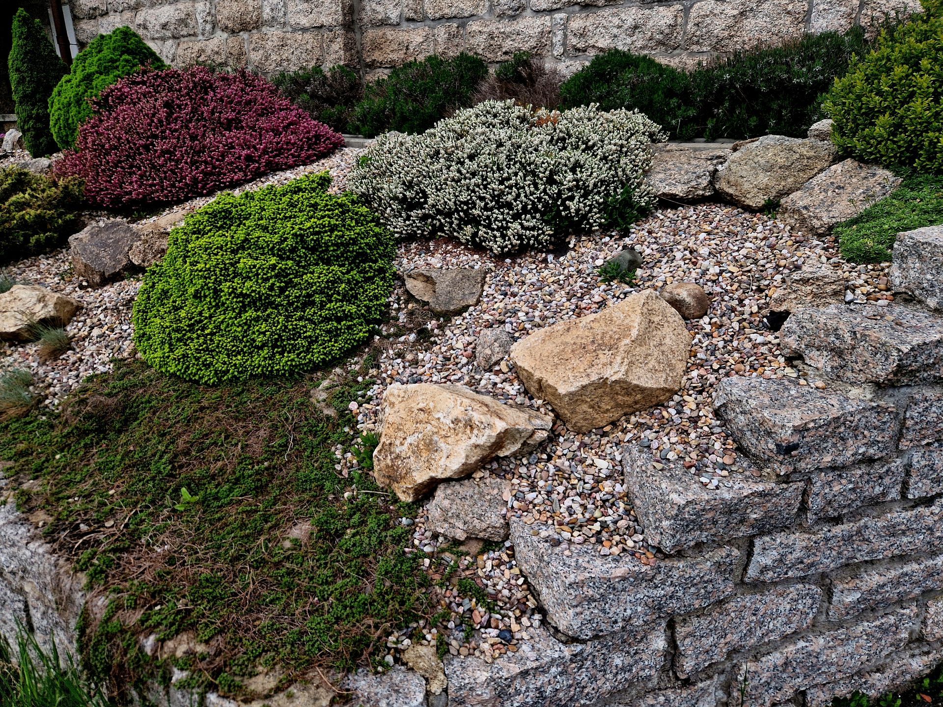 A tiered garden featuring green shrubs, purple heather, rocks, and gravel on a stone retaining wall.