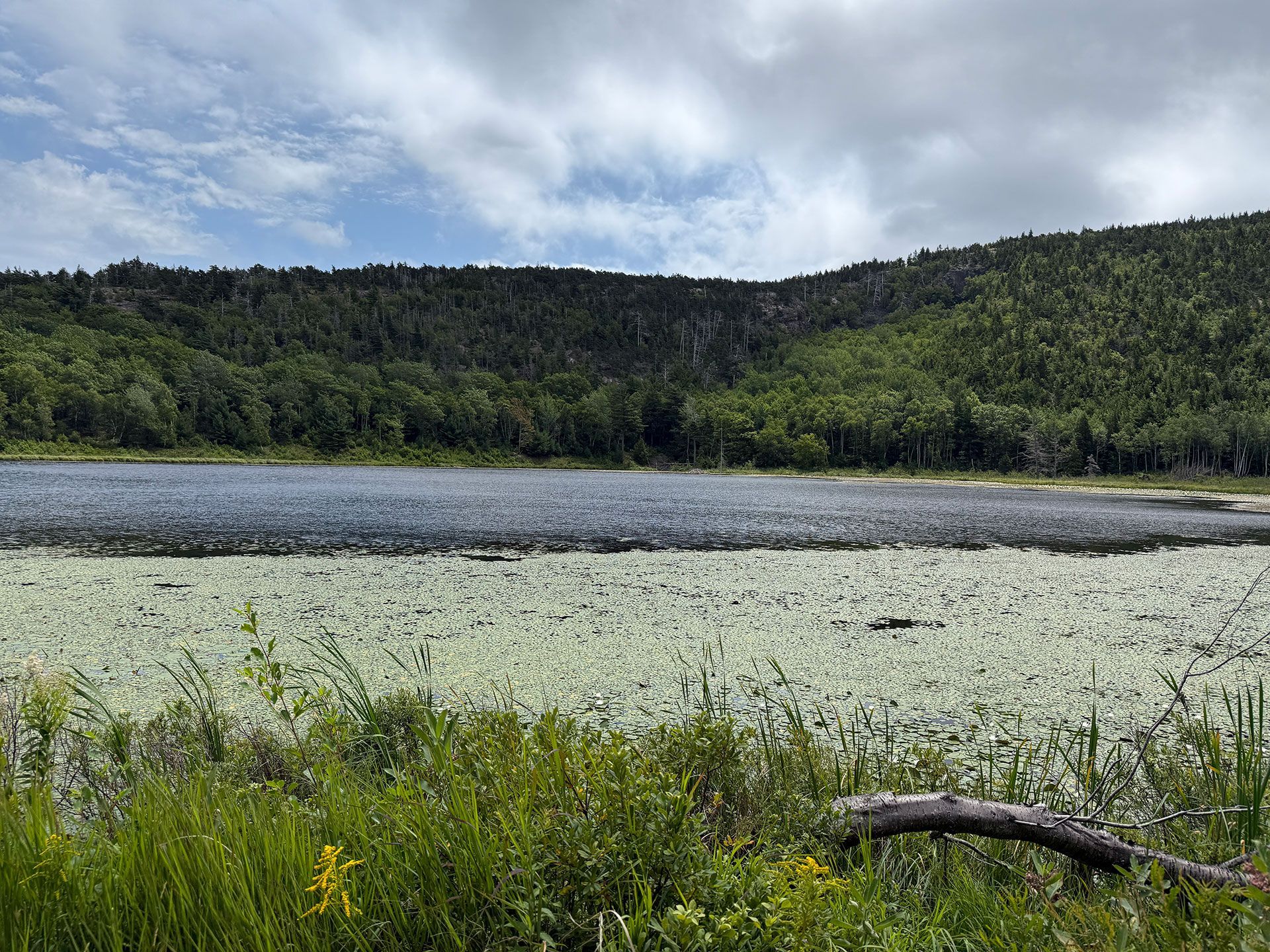 Boston to Bold Coast 30