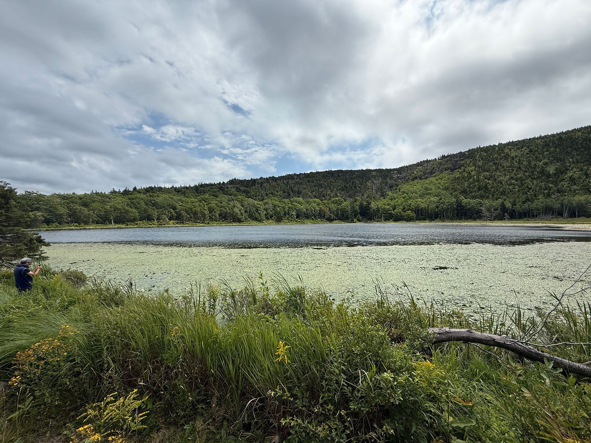 Boston to Bold Coast 31