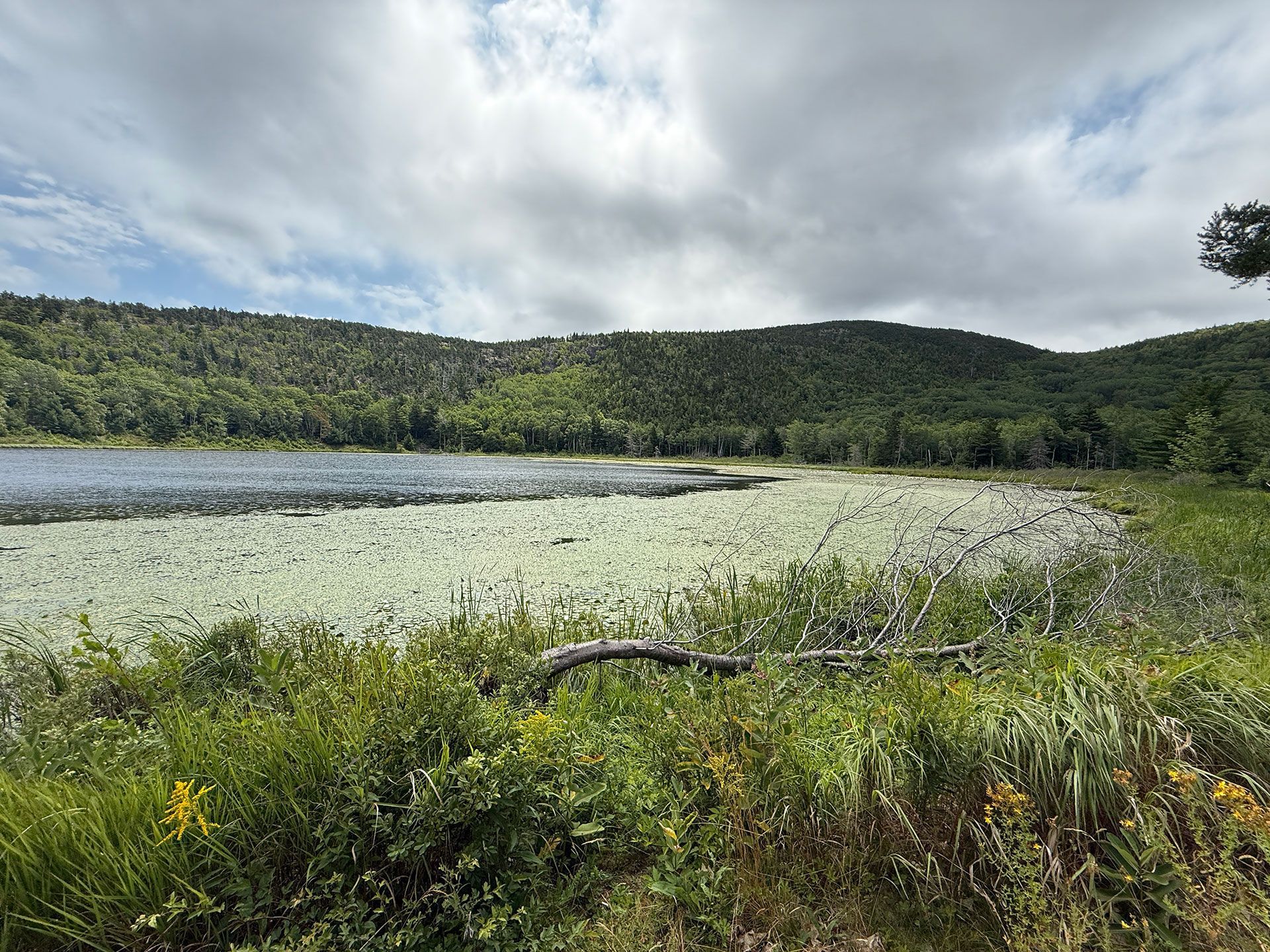 Boston to Bold Coast 33