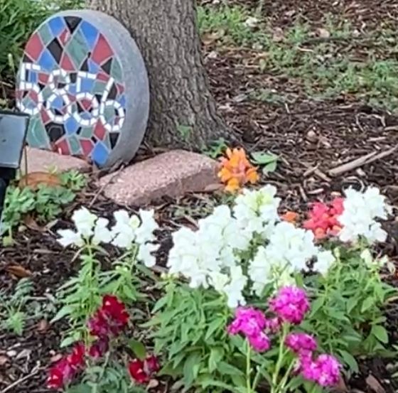 A garden with flowers and a sign that says 5556