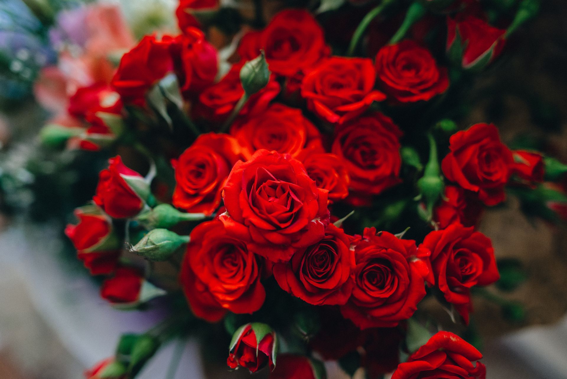 A dense, lush bouquet of vibrant red roses in full bloom with green stems and buds, viewed from above.