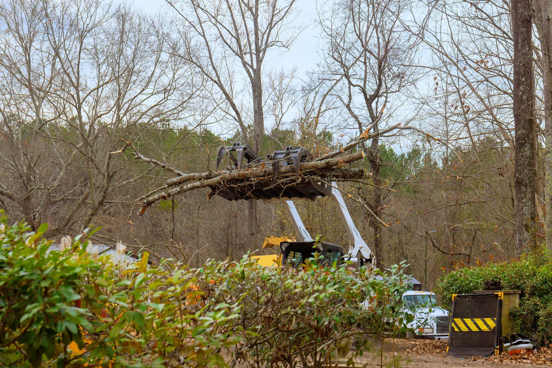heavy-machinery-lifts-fallen-tree-branches