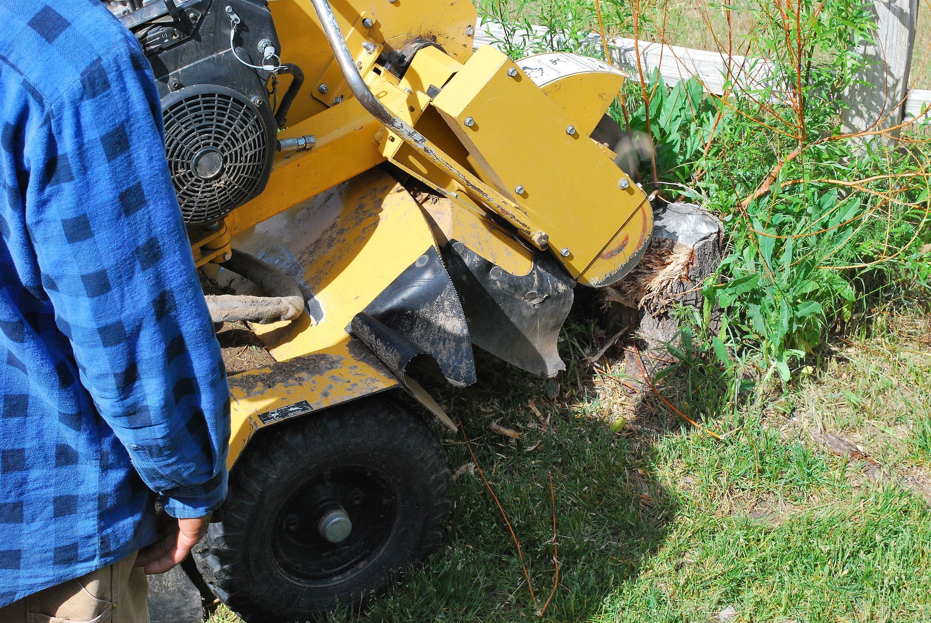 machine doing stump tree removal