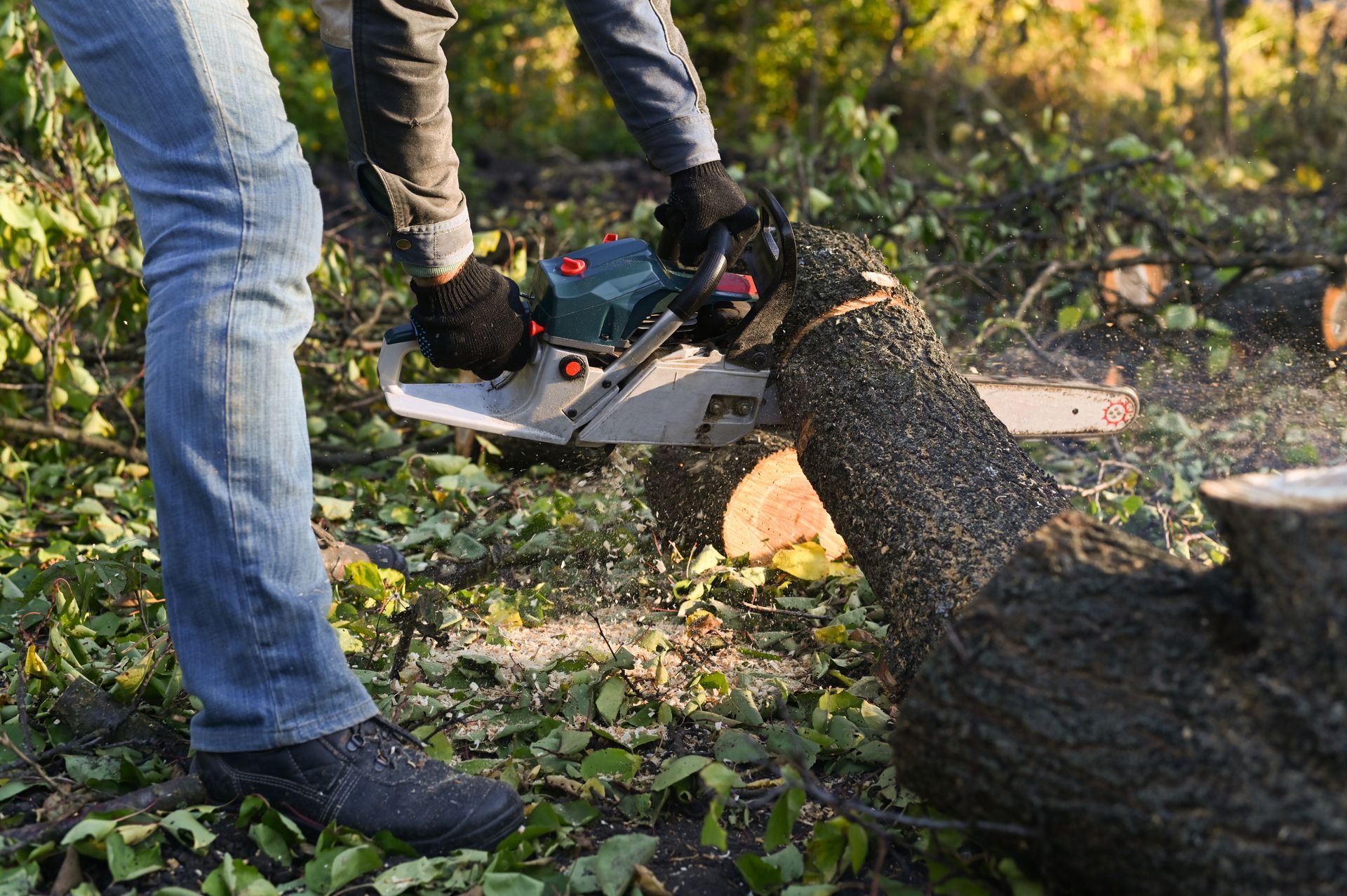 sawing-wood-into-logs-with-a-chainsaw