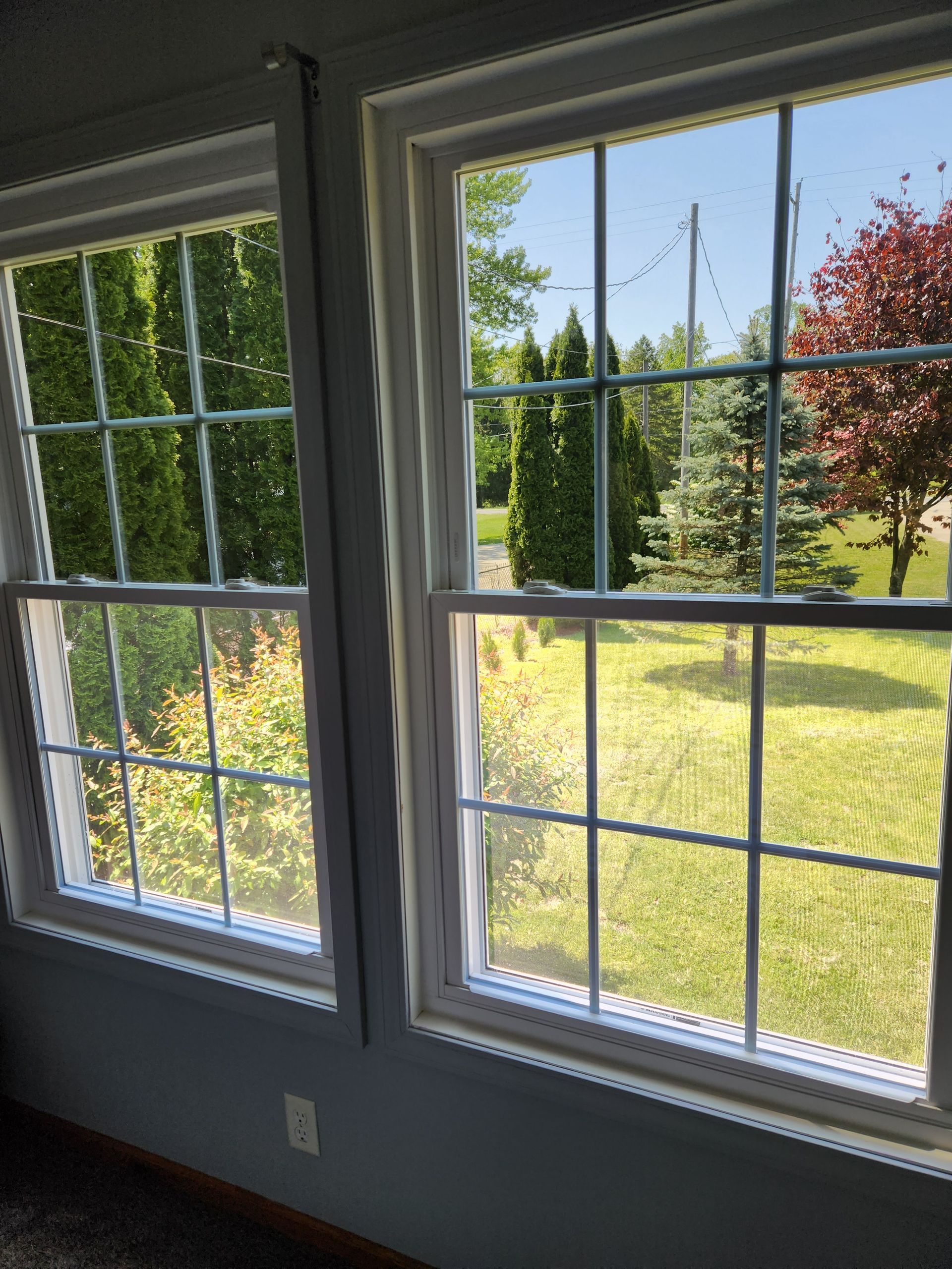 A window with a view of a yard and trees