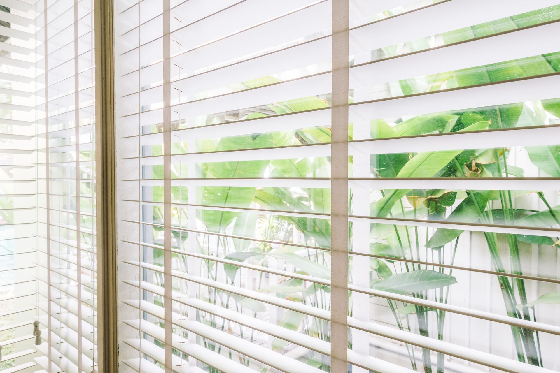 A window with white blinds and a reflection of trees in the blinds.