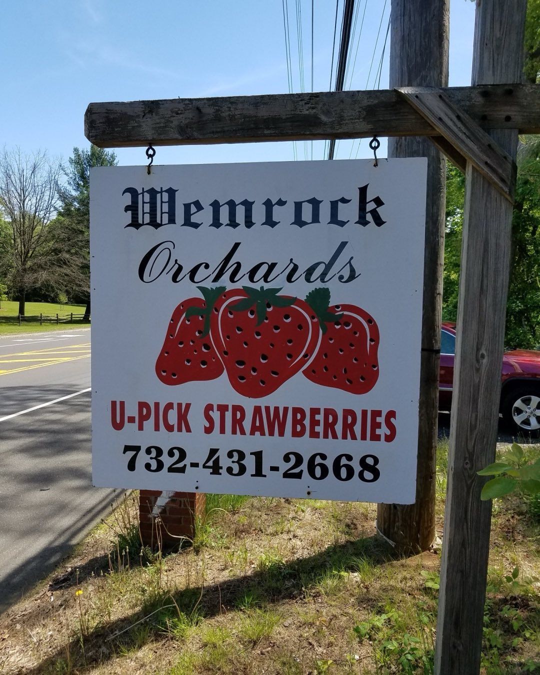Sign for Wemrock Orchards with U-Pick Strawberries, featuring strawberries and a phone number.