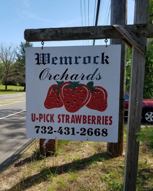 Sign for Wemrock Orchards with U-Pick Strawberries, featuring strawberries and a phone number.