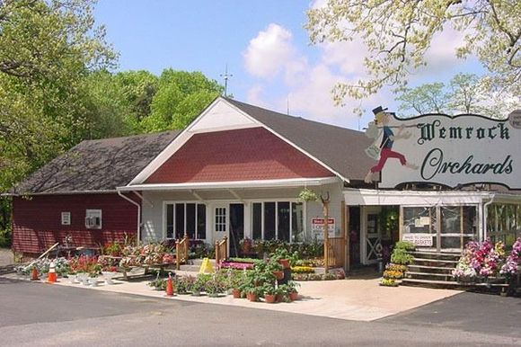 Wemrock Orchards store front with red roof and sign. Green trees and flowers in front of the building.