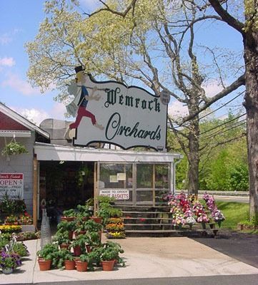 Wemrock Orchards sign above entrance, plants and flowers displayed outside, green trees in the background.
