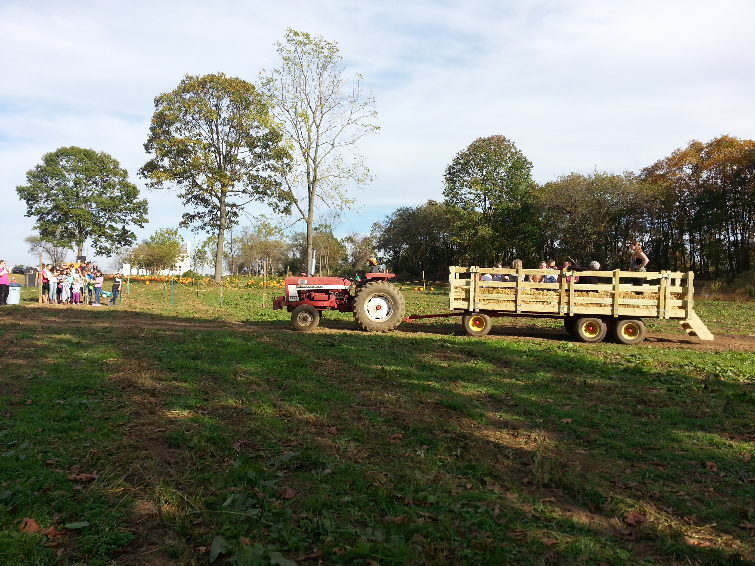 Tractor pulling a hay wagon full of people through a pumpkin patch on a sunny day.