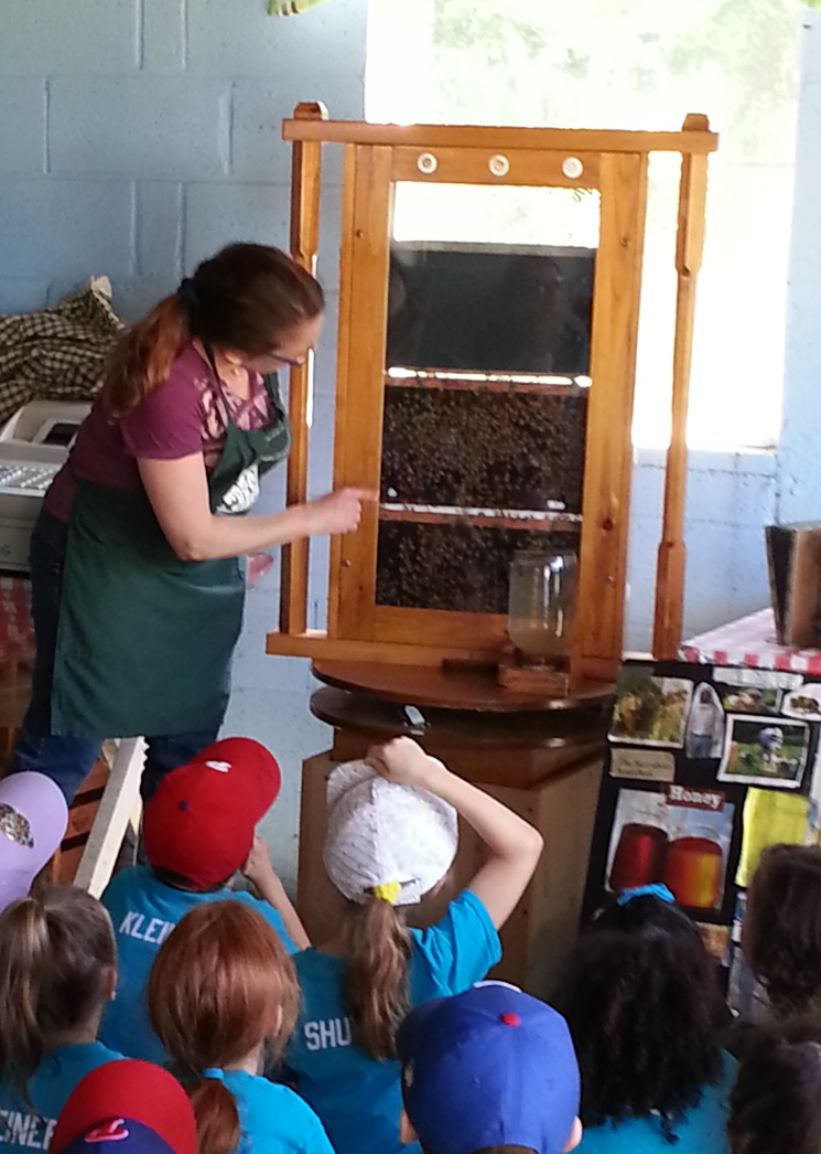 Woman points to a bee hive demonstration, showing children; indoor, wooden structure.