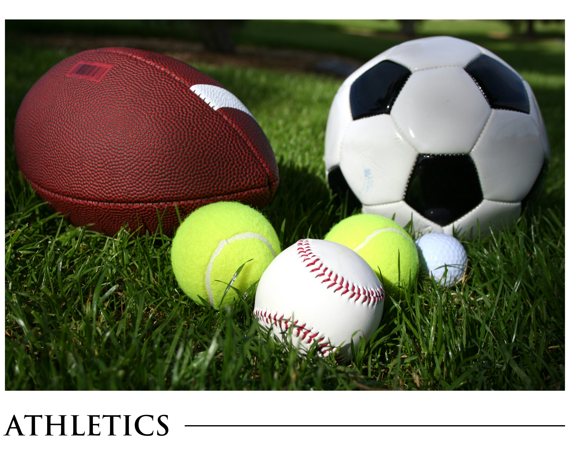 A football a soccer ball a tennis ball and a baseball are in the grass