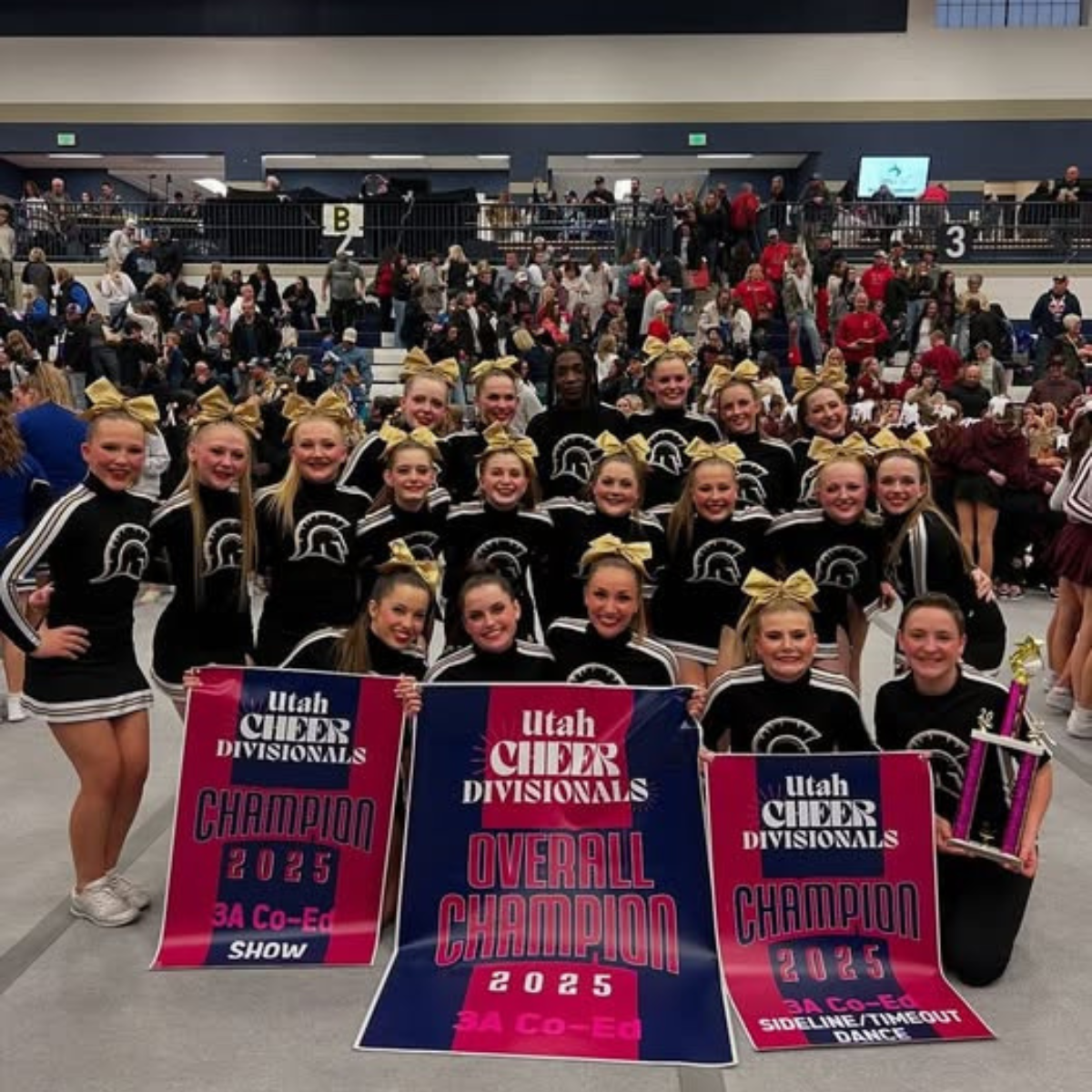 A group of cheerleaders holding signs that say utah cheer divisionals