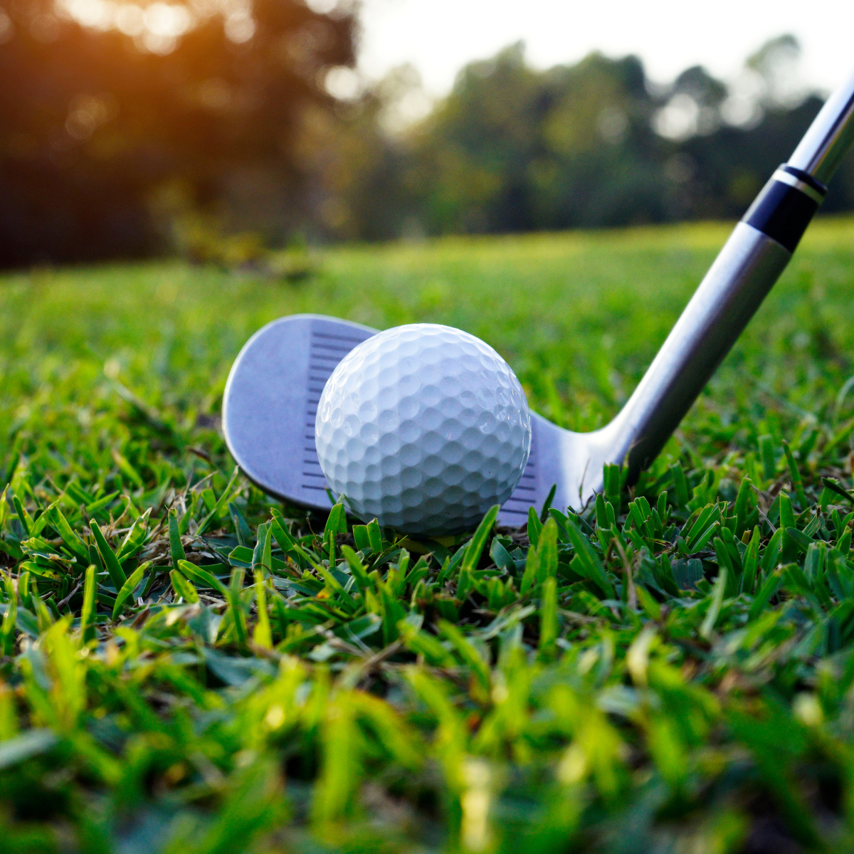 A golf ball is sitting on top of a golf club in the grass.