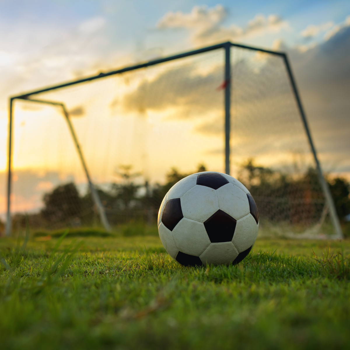 A soccer ball is on the grass in front of a goal