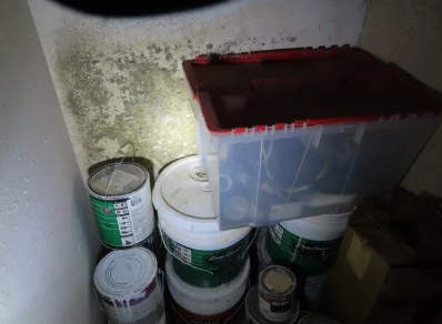 Bulk Lead Paint Testing
