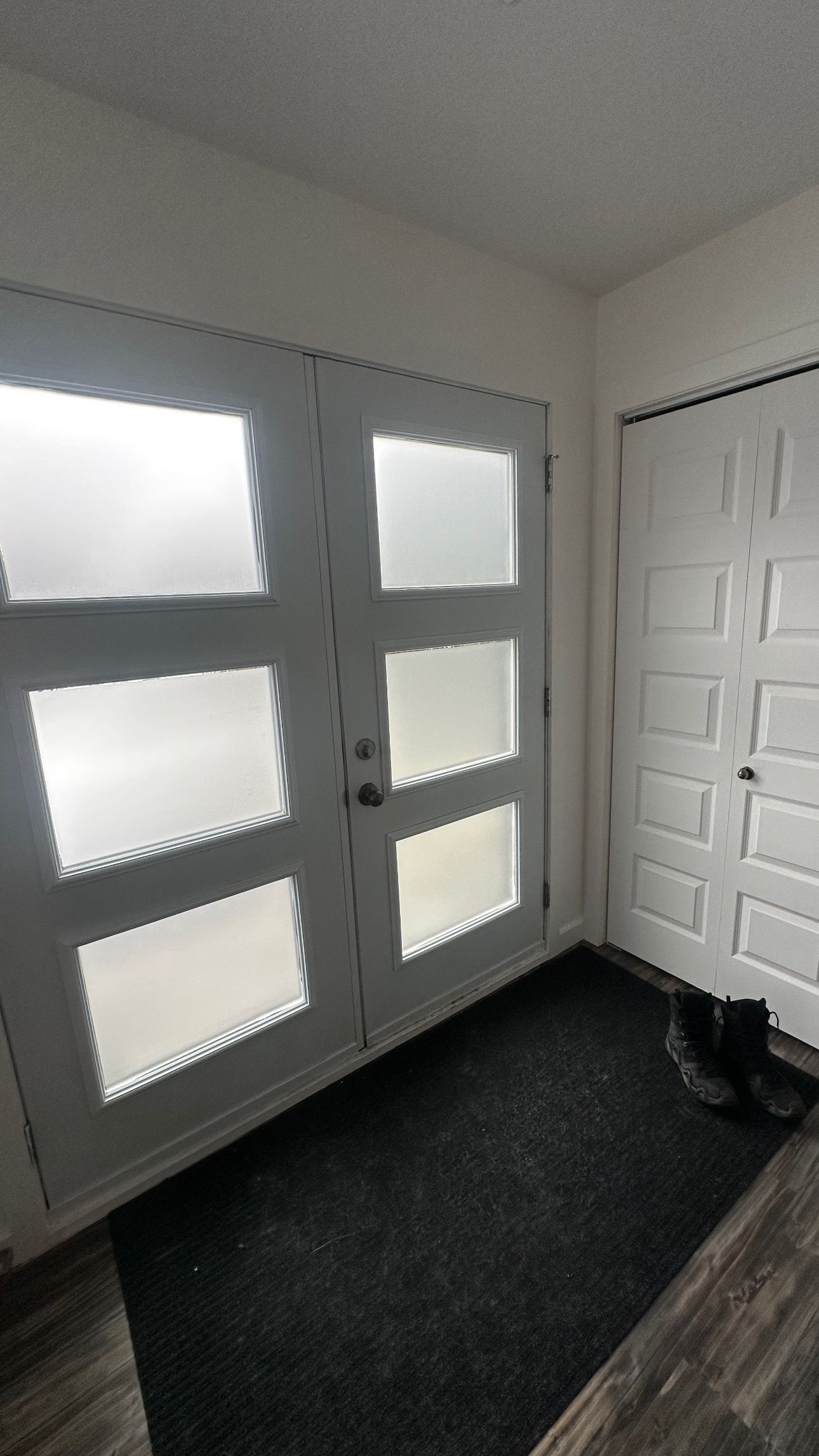Double porte d'entrée blanche avec panneaux de verre et tapis foncé. Porte de placard blanche à droite.